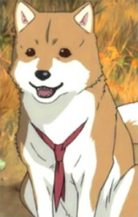 Tobimaru