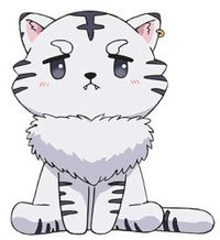 Kohaku