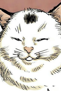 Nyaako