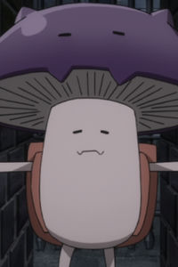 Kinoko