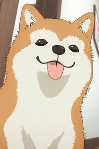 Jimihen
