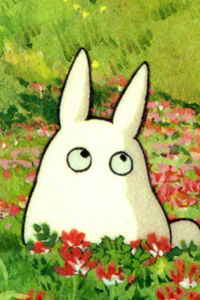 Shou-totoro