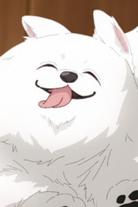 Yukimi