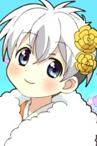 Macaron