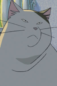 Muta