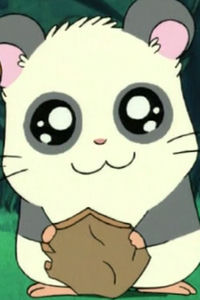 Panda-kun