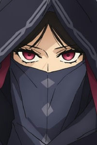 Assassin
