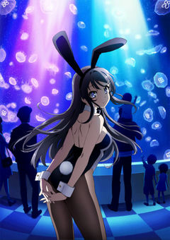 Rascal Dpes Not Dream Of Bunny Girl Senpai