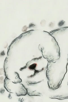 The Cloudy Dog Talk About