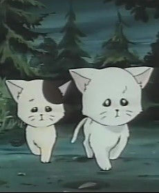 Meow no Hoshi