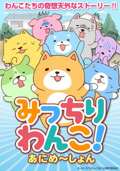 Micchiri Wanko! Animation