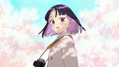 Petals