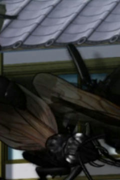 The Island of Giant Insects Movie
