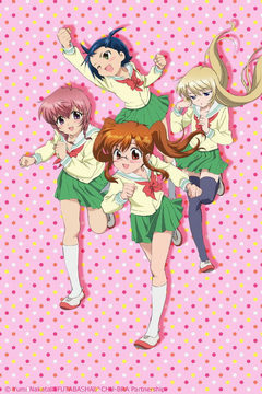 Chu-Bra!: Panty Appreciation Society