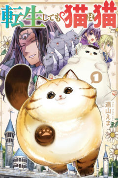 A Cat Is a Cat in Any Life